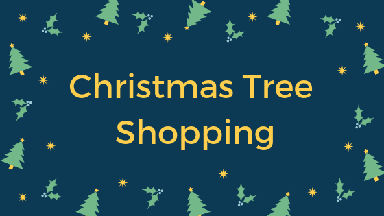 Quick Guide for Christmas Tree Shopping in holiday season
