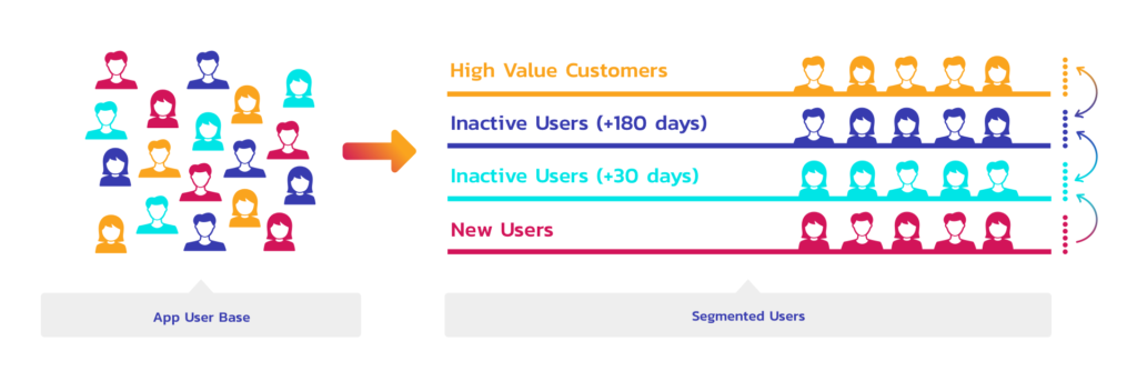 segmentation