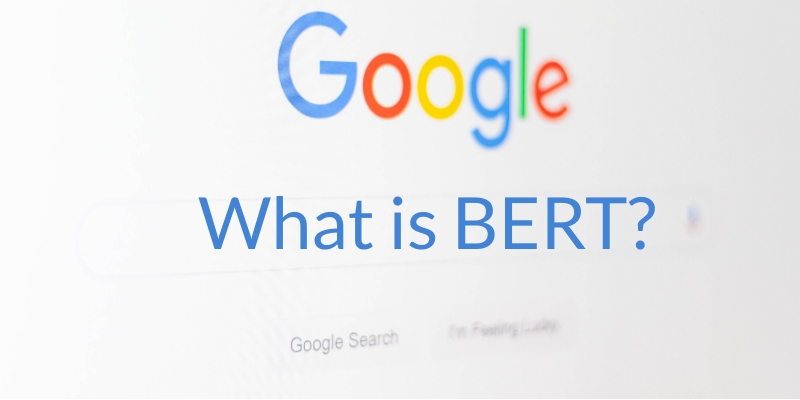 Google’s BERT Update: How Good or Bad is This For Your Search?